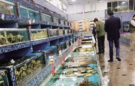 探秘秘境里的海上财富 厦门东渡水产市场走笔
